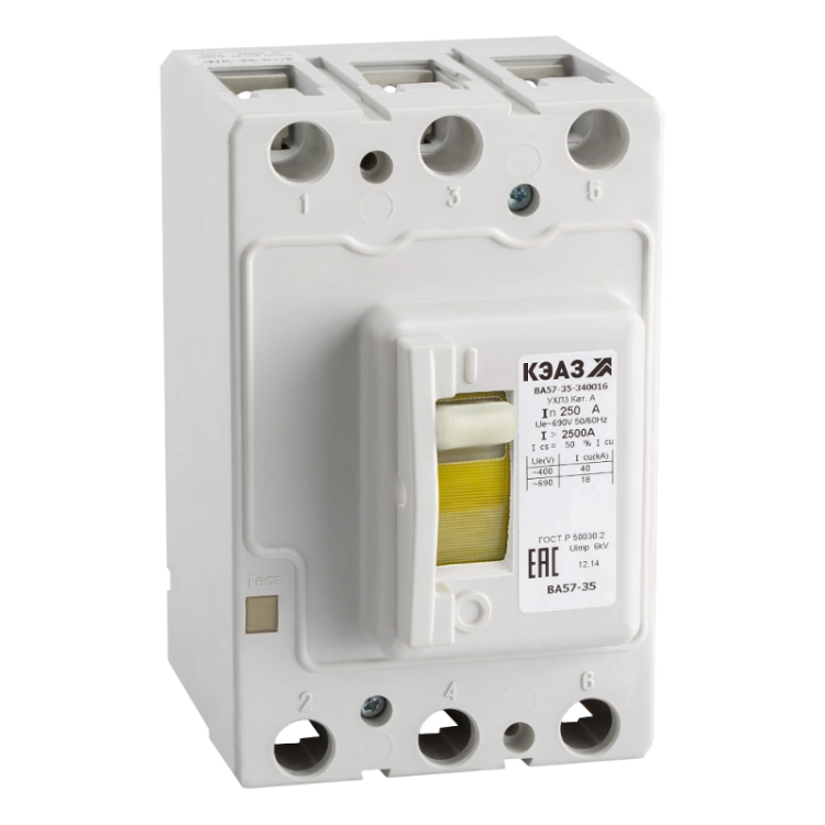 ОписаниеПередаваемогоФайла