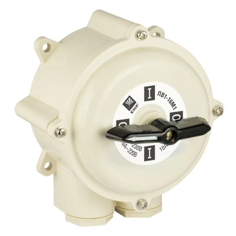 ОписаниеПередаваемогоФайла