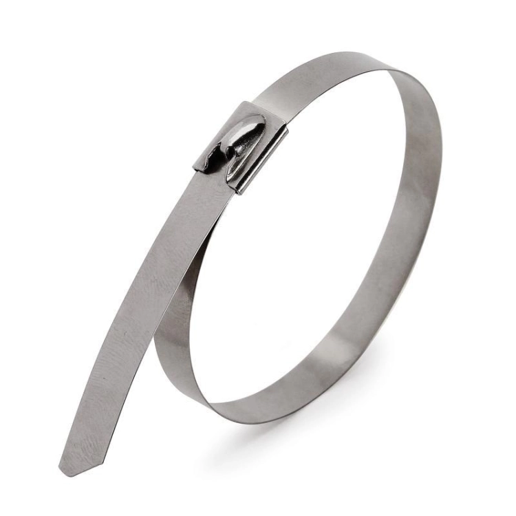 ОписаниеПередаваемогоФайла