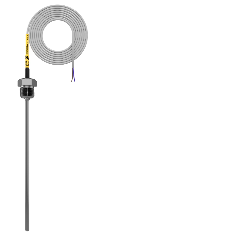 ОписаниеПередаваемогоФайла