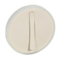 ОписаниеПередаваемогоФайла