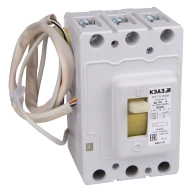 ОписаниеПередаваемогоФайла