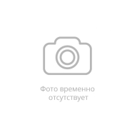ОписаниеПередаваемогоФайла