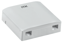 ОписаниеПередаваемогоФайла