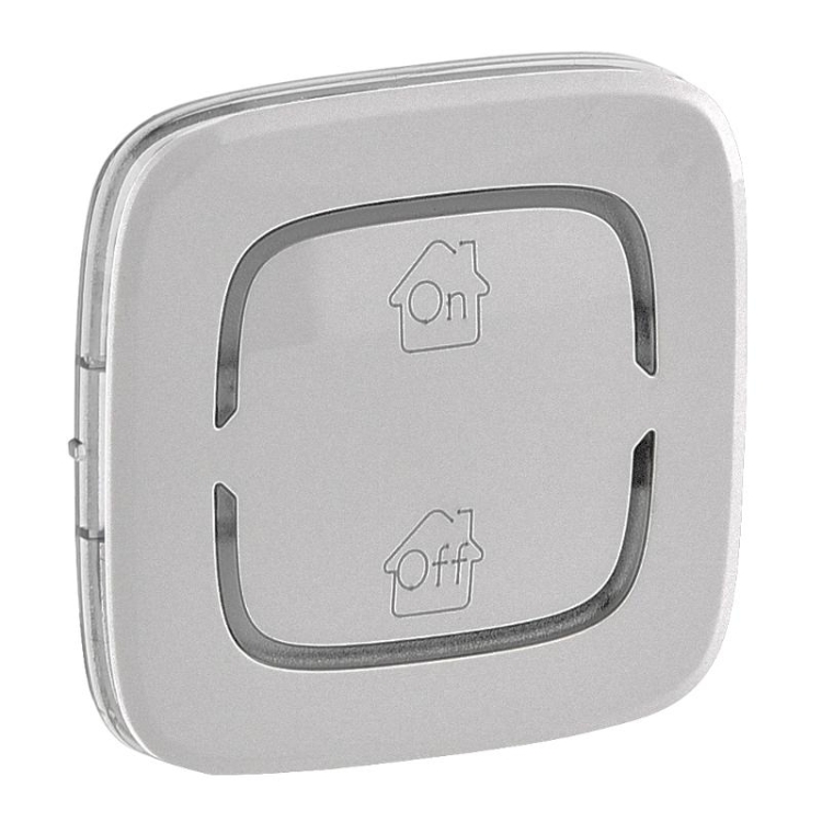 ОписаниеПередаваемогоФайла