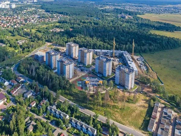 Мелодия леса