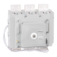 ОписаниеПередаваемогоФайла