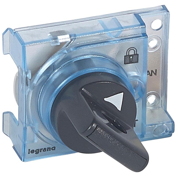 ОписаниеПередаваемогоФайла